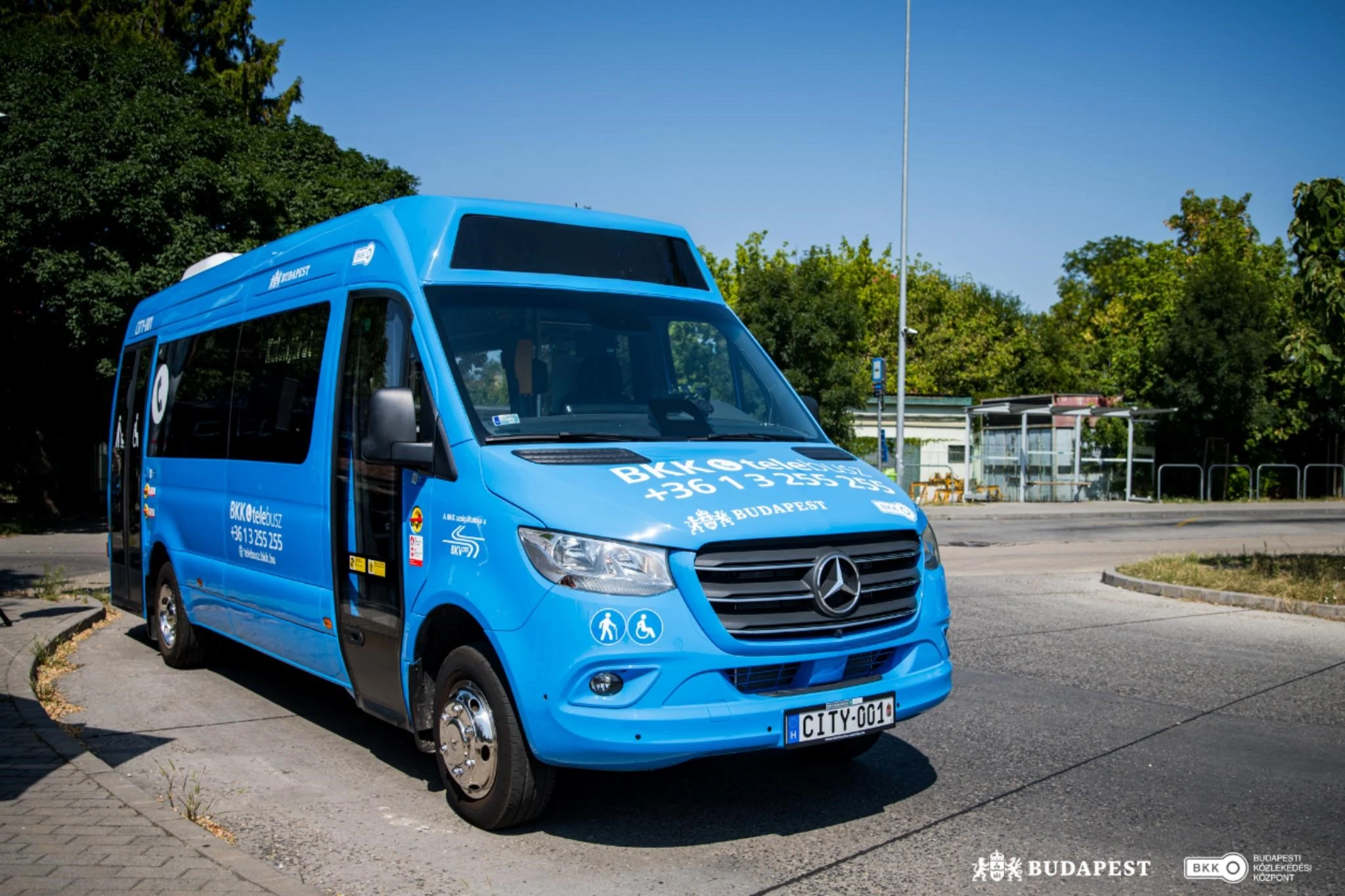 csobajbusz_001.jpg